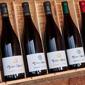 Couette-café Les Glycines - Domaine Gilles Coperet Régnié